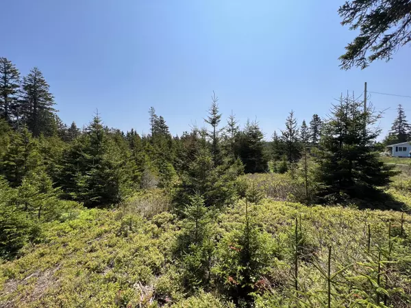 Frenchboro, ME 04635,12b Butler RD