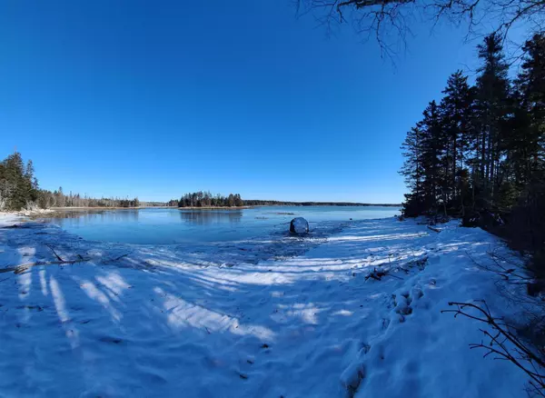 Steuben, ME 04680,Lot 8 Pyne Cove RD