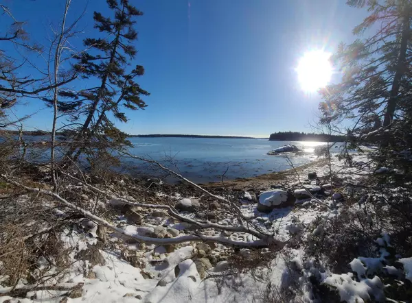 Steuben, ME 04680,Lot 8 Pyne Cove RD