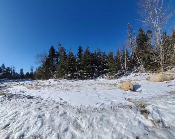 Steuben, ME 04680,Lot 8 Pyne Cove RD