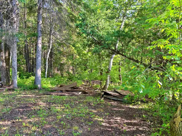 Winterville Plt, ME 04739,Lot 76-7 Cedar LN