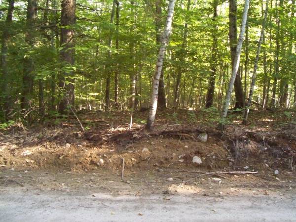 Frye Island, ME 04071,67 Paddock Lane (Lot 904)