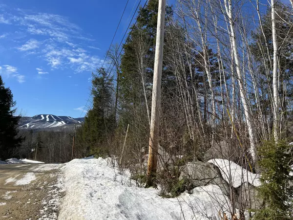 Newry, ME 04261,Lot 104-2 Douglass RD