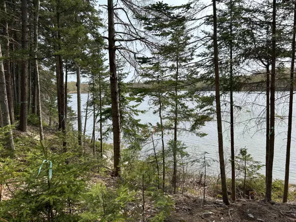 Sedgwick, ME 04676,Lot 1 Frank's Flat Road