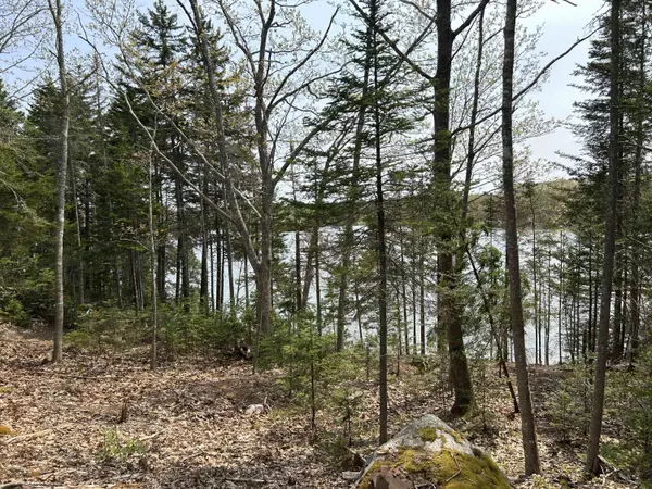 Sedgwick, ME 04676,Lot 1 Frank's Flat Road