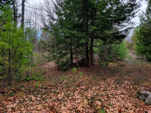 New Gloucester, ME 04260,Lot 36/8 Della Mill RD