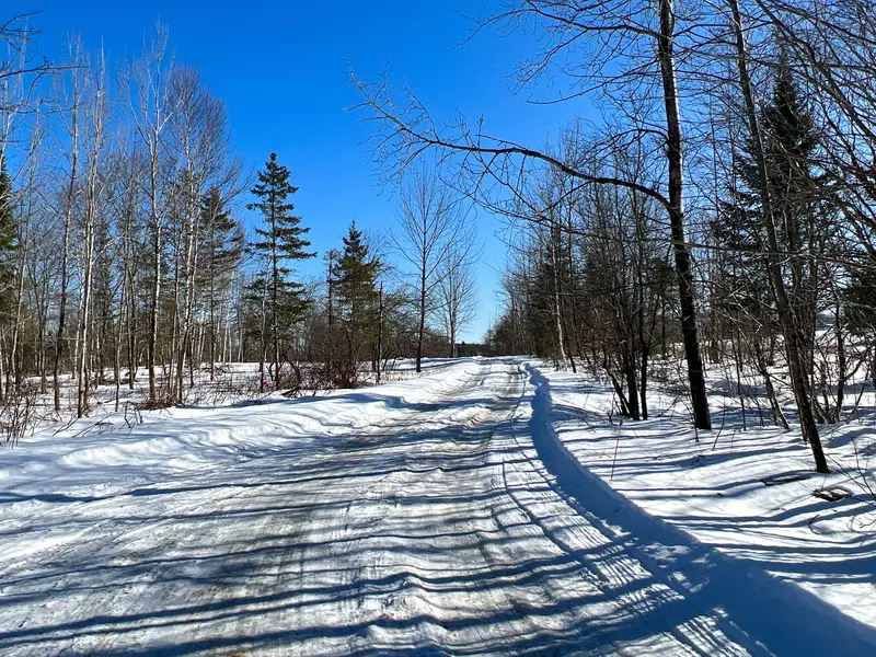 141 Schillinger Road, Danforth, ME 04424