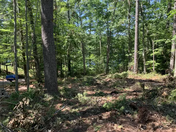 Shapleigh, ME 04076,Lot 3 Apple RD