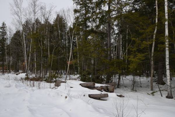 Eddington, ME 04428,Lot#9 Katahdin WAY