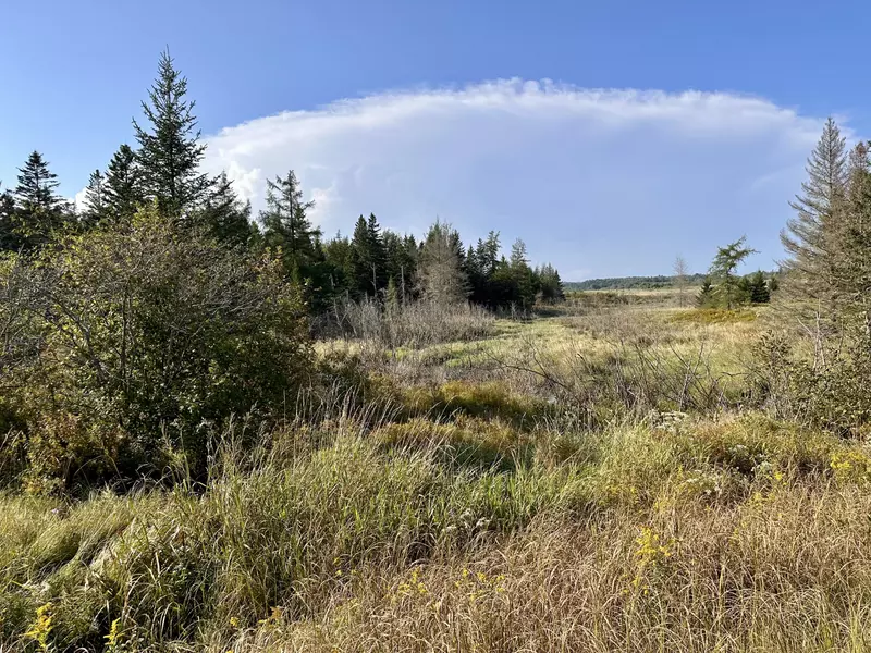 333 Dublin ST, Machias, ME 04654