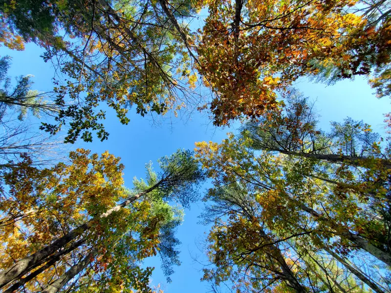 106 Lufkin RD #2, North Yarmouth, ME 04097