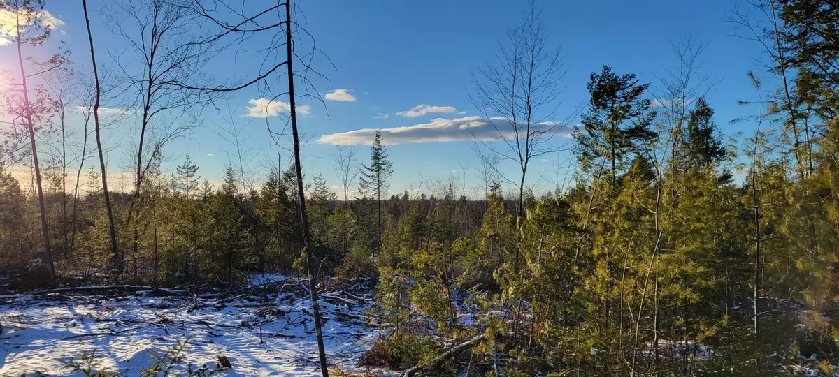 Palmyra, ME 04965,4 Spaulding RD