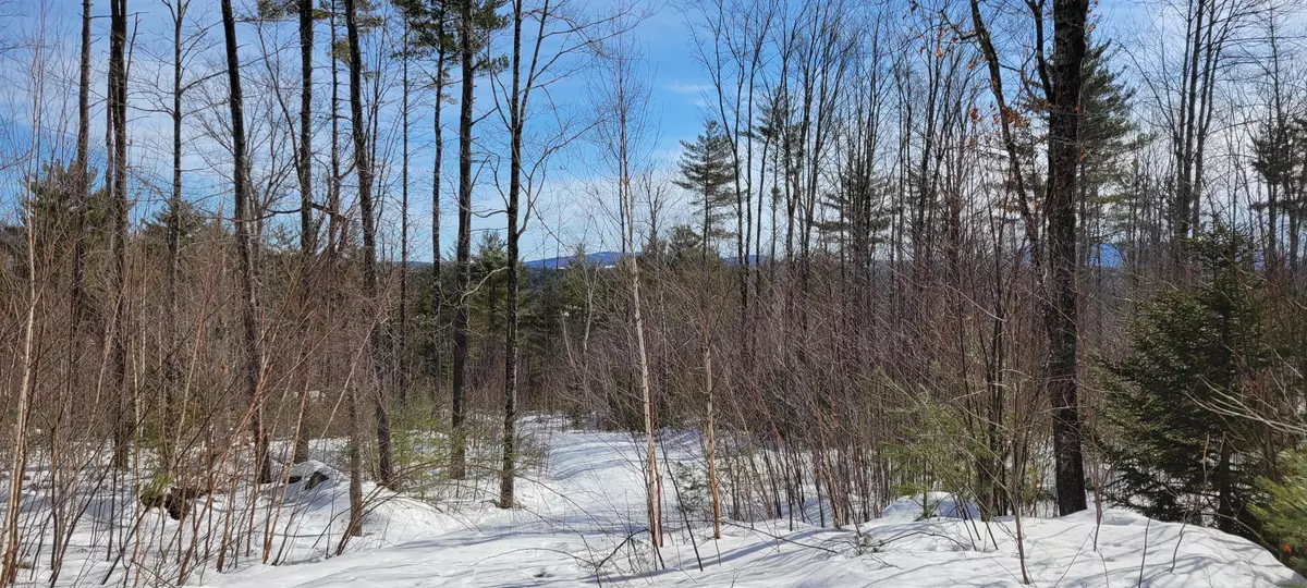 Stow, ME 04037,35A Rte 113