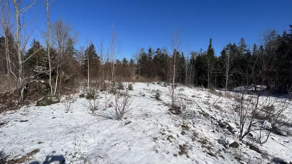 Lubec, ME 04652,Lot 52 &53 Lead Mine RD