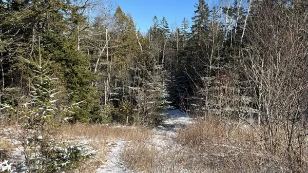 Lot 52 &53 Lead Mine RD, Lubec, ME 04652