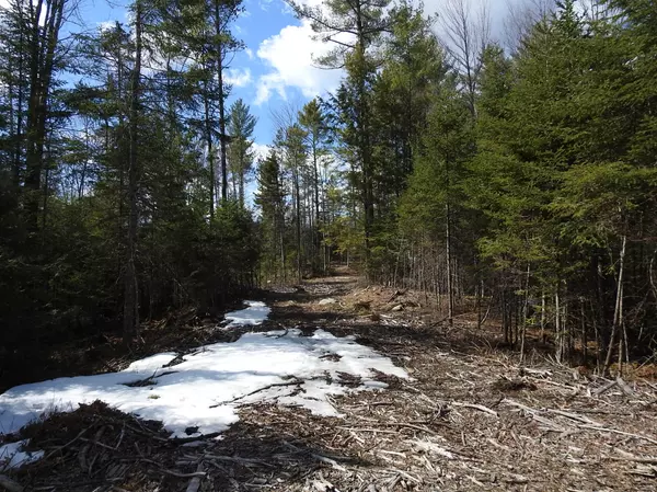 Lot 004 Balsam TRL, West Paris, ME 04289