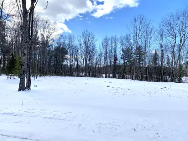 Lisbon, ME 04250,11 Shady LN