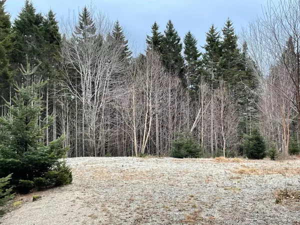 Lot 30 Pineo Road, Roque Bluffs, ME 04654