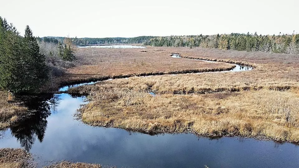 Lot 1 US. Rt 1, Whiting, ME 04691