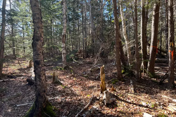 Tremont, ME 04653,Lot 4 Gard BLVD