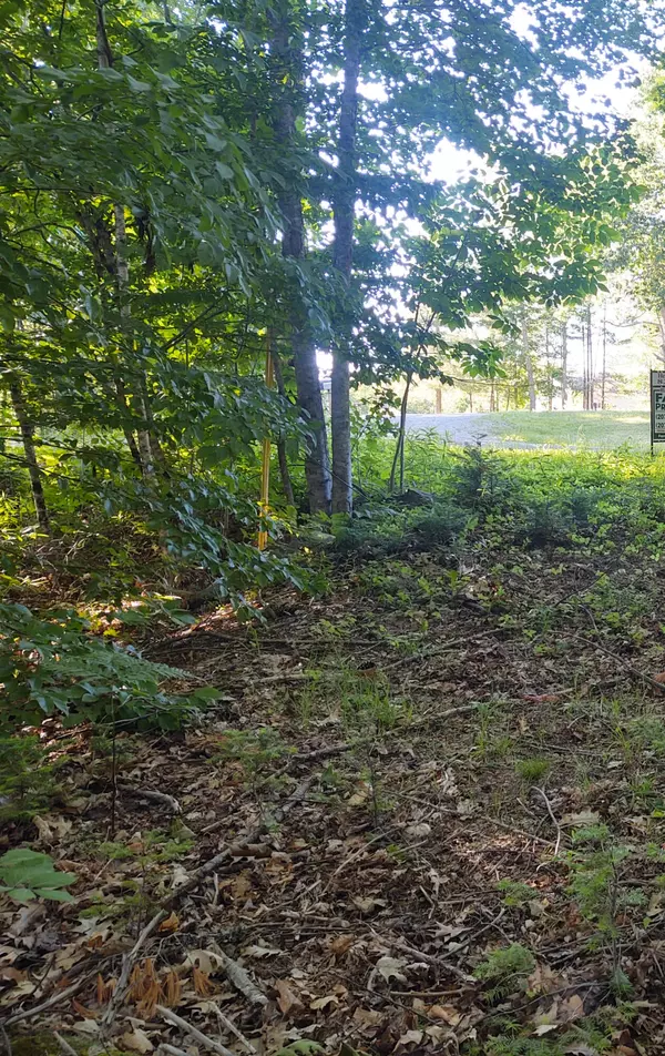 Lot 7 Bluff DR, Newcastle, ME 04553