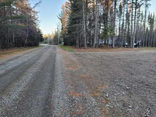 Greenbush, ME 04418,0 Fothingill RD