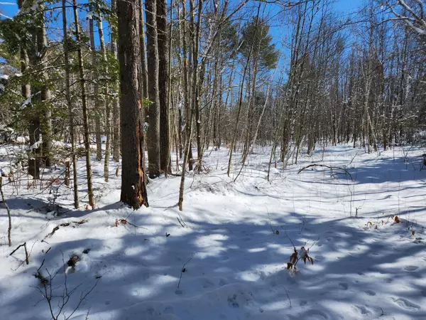 Waldoboro, ME 04572,20-10A Feylers Corner RD