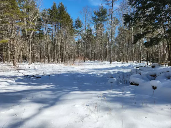 Waldoboro, ME 04572,20-10A Feylers Corner RD