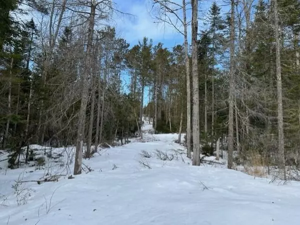 Otis, ME 04605,0-1 Otis RD