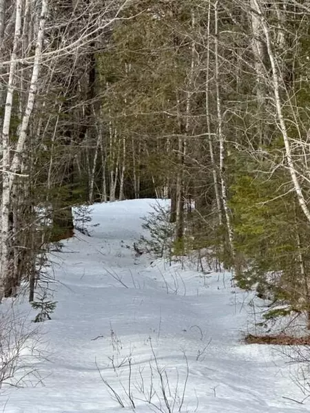 Lot 8 Willey District RD, Cherryfield, ME 04622