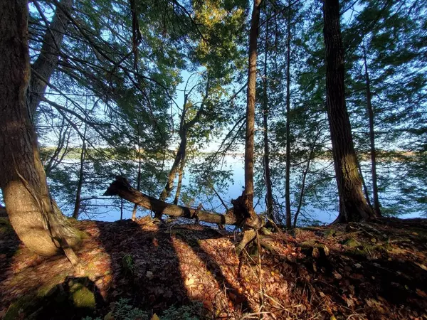 70 Black Cat Point DR, Princeton, ME 04668