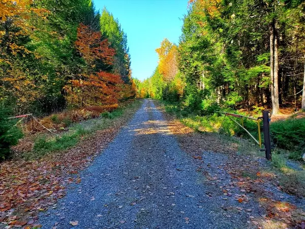 Princeton, ME 04668,70 Black Cat Point DR