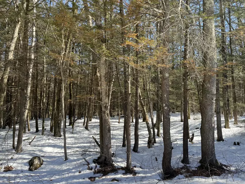 0 Highland RD, Brunswick, ME 04011