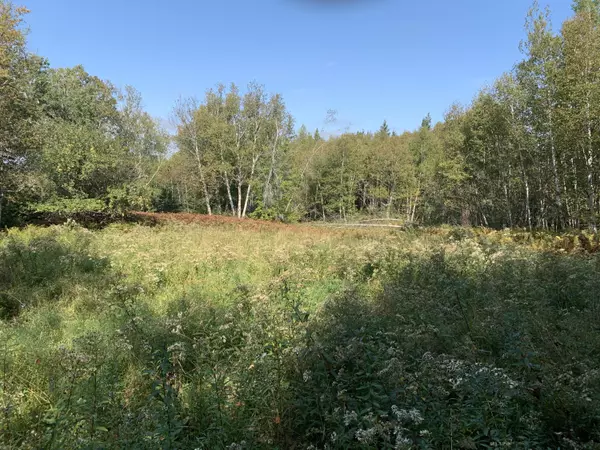 Lubec, ME 04652,0 Tideway Lot 5 LN