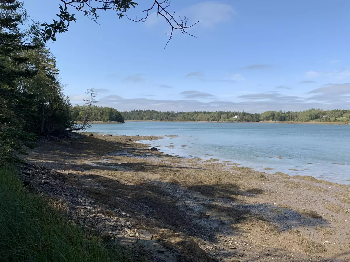 Lubec, ME 04652,0 Tideway Lot 5 LN