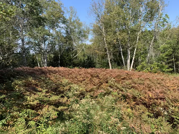 Lubec, ME 04652,0 Tideway Lot 5 LN