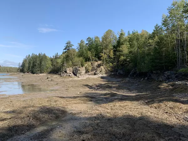 Lubec, ME 04652,0 Tideway Lot 5 LN