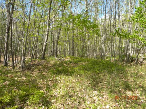 Woolwich, ME 04579,369 Barley Neck RD #Lot D