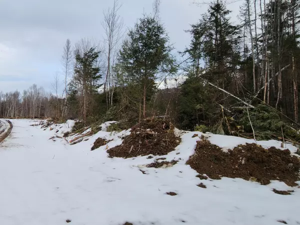 Springfield, ME 04487,Lot 18 S Moores RD