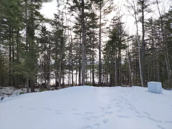 Lot 11 Birch Point RD, Cooper, ME 04657