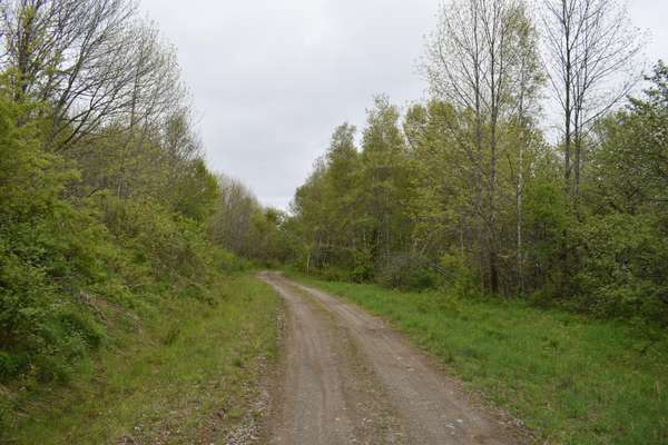 Lot 3-D Forest LN, Carroll Plt, ME 04487