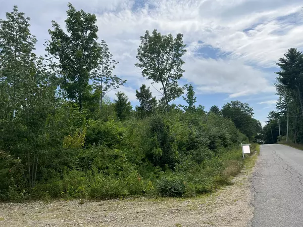Parsonsfield, ME 04047,Lot 4 Fenderson RD