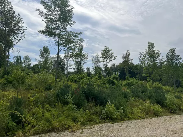 Lot 5 Fenderson RD, Parsonsfield, ME 04047