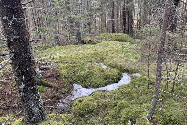 Stonington, ME 04681,002 Oceanville RD