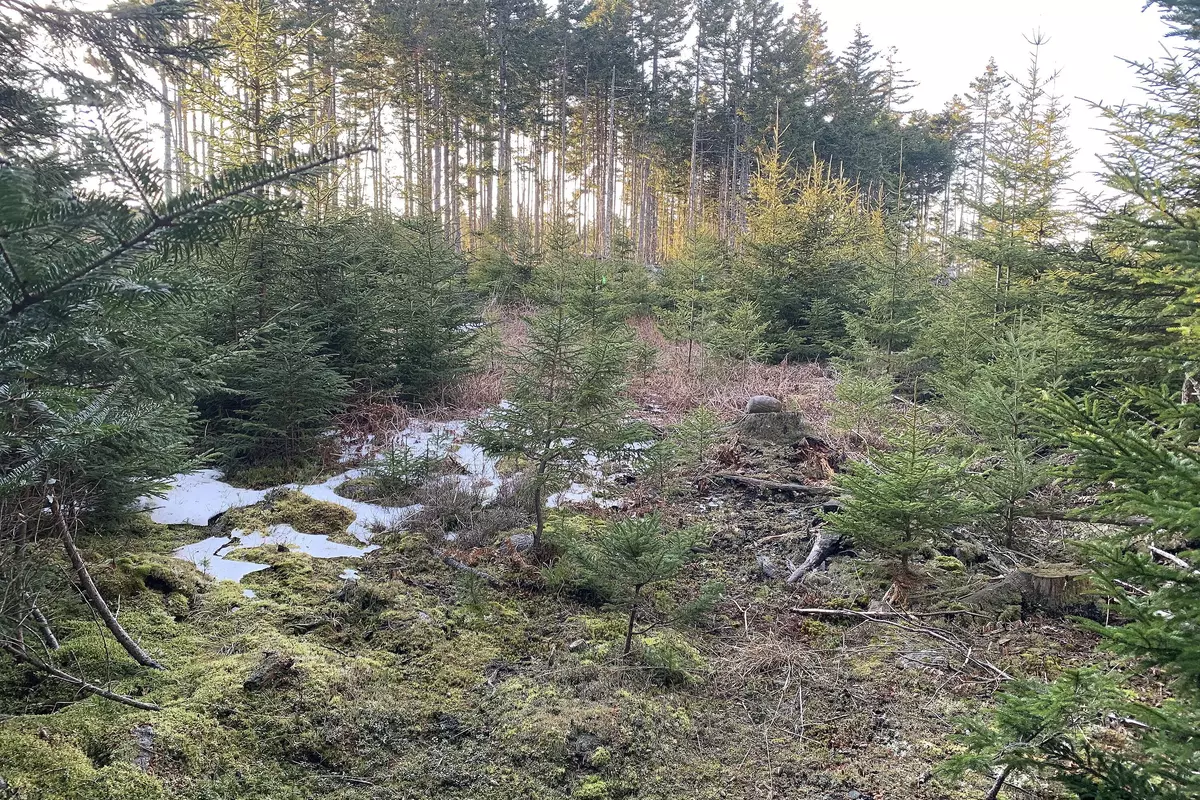 Stonington, ME 04681,002 Oceanville RD