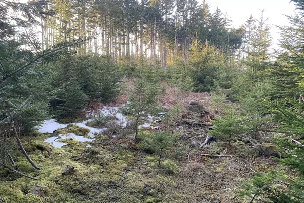 002 Oceanville RD, Stonington, ME 04681