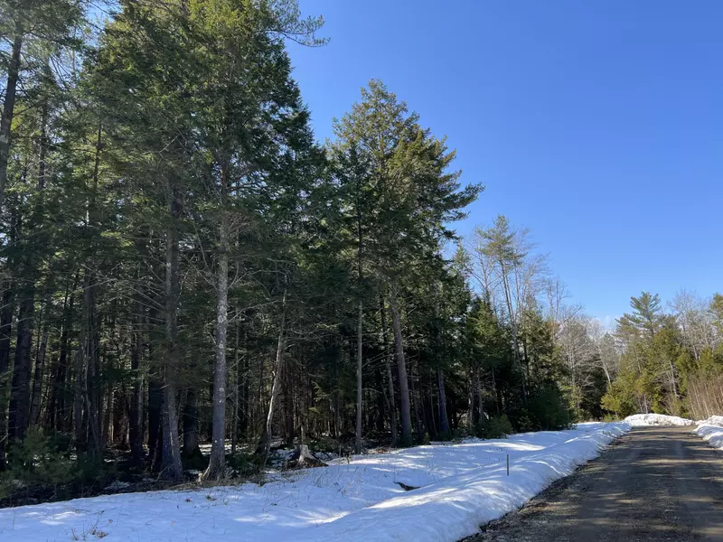 Lot 08 Sara's WAY, Bowdoinham, ME 04008