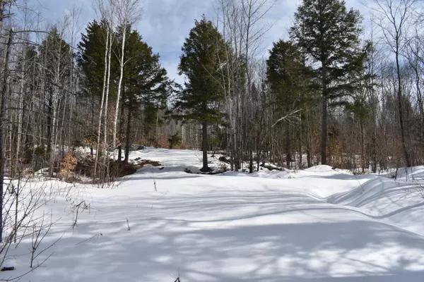 Lot 86 Freedom WAY, Prentiss Twp T7 R3 Nbpp, ME 04487