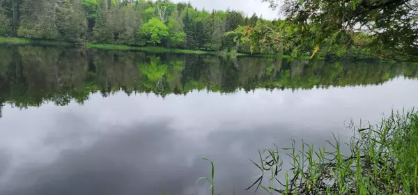 Bancroft, ME 04497,Lot 2 Haynes RD