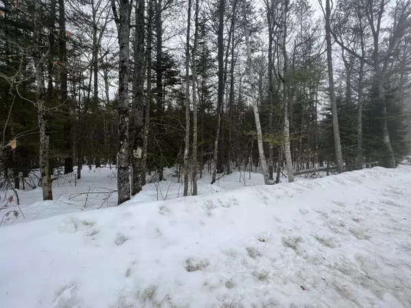 Shapleigh, ME 04076,7-35-A Norton Ridge RD